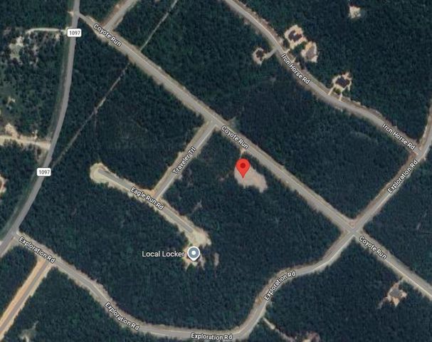 54 Coyote Run, New Waverly, TX 77358