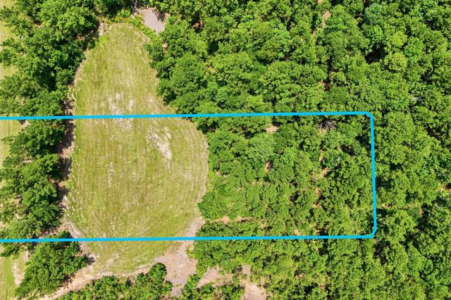 54 Coyote Run, New Waverly, TX 77358