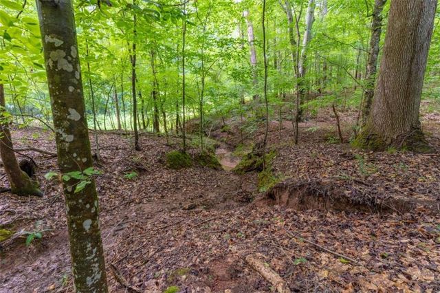 54 Davis Carter Road, Monticello, GA 31064
