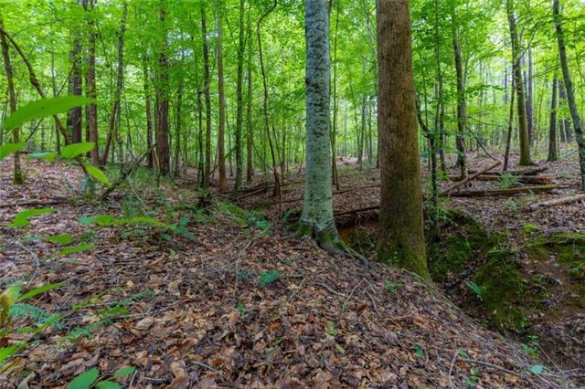 54 Davis Carter Road, Monticello, GA 31064
