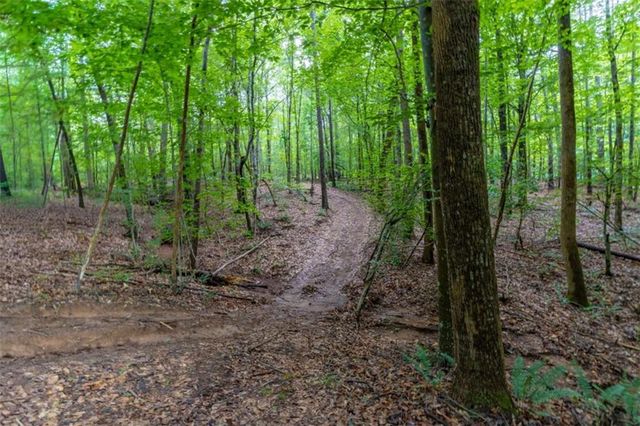 54 Davis Carter Road, Monticello, GA 31064
