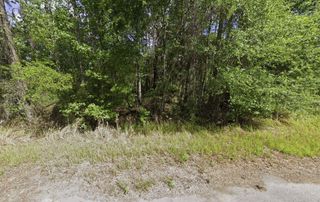 Tbd Locust Pl Court, Ocala, FL 34472