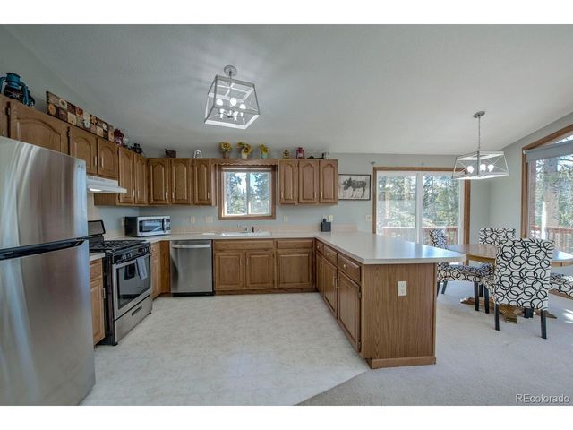 394 CO RD 14A, Fairplay, CO 80440