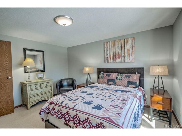 394 CO RD 14A, Fairplay, CO 80440