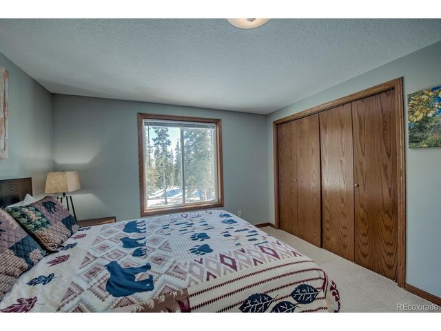 394 CO RD 14A, Fairplay, CO 80440