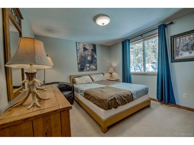 394 CO RD 14A, Fairplay, CO 80440