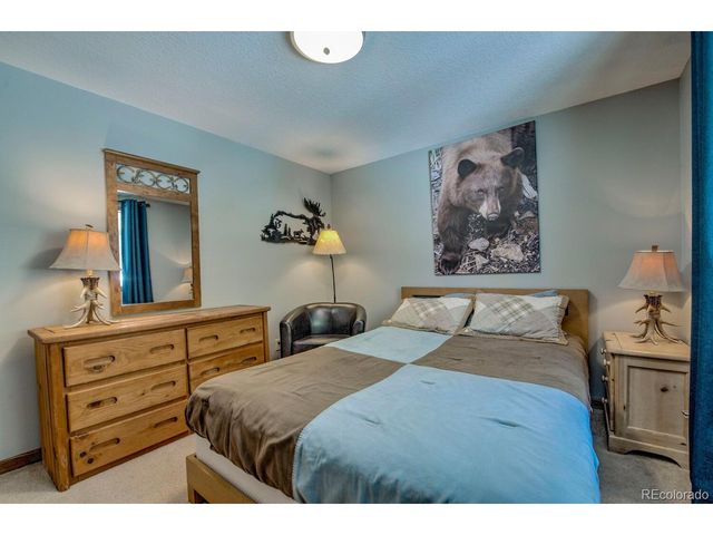 394 CO RD 14A, Fairplay, CO 80440