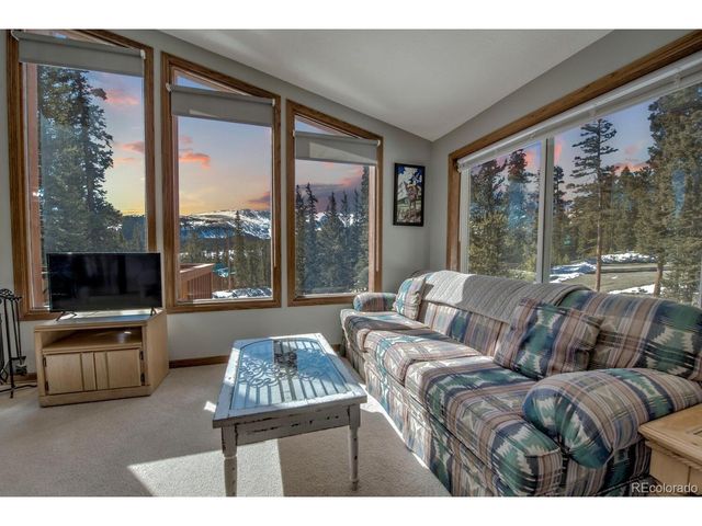 394 CO RD 14A, Fairplay, CO 80440