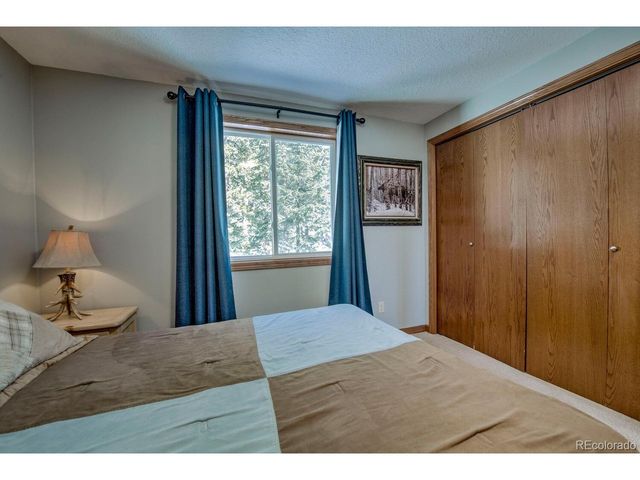 394 CO RD 14A, Fairplay, CO 80440