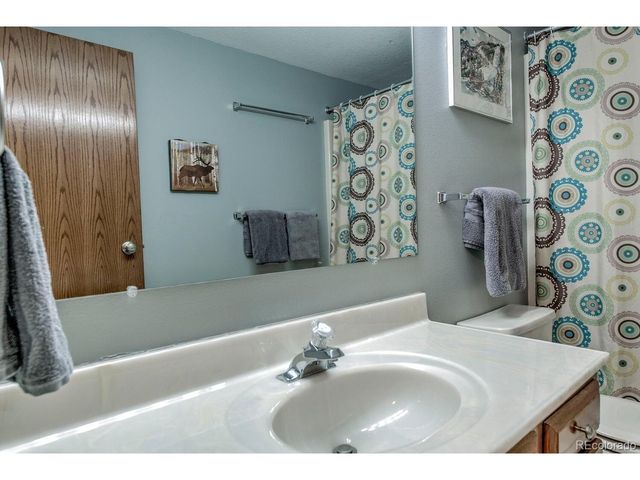 394 CO RD 14A, Fairplay, CO 80440