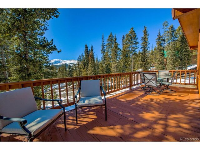 394 CO RD 14A, Fairplay, CO 80440