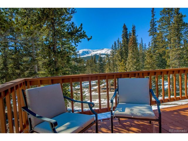 394 CO RD 14A, Fairplay, CO 80440