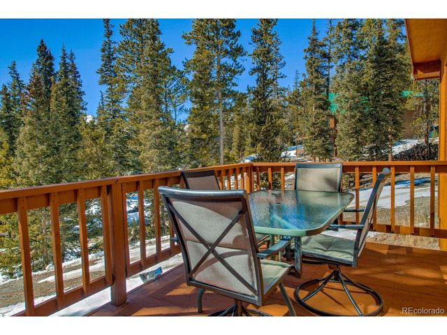 394 CO RD 14A, Fairplay, CO 80440