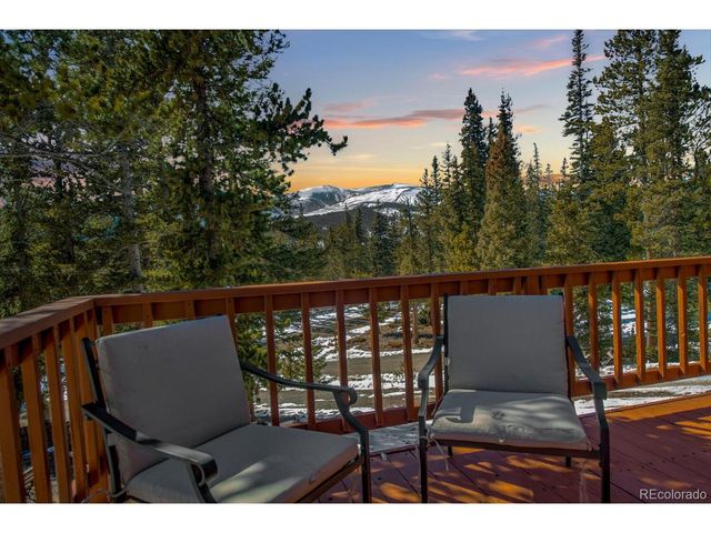 394 CO RD 14A, Fairplay, CO 80440