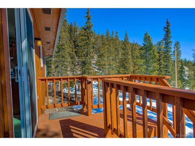 394 CO RD 14A, Fairplay, CO 80440