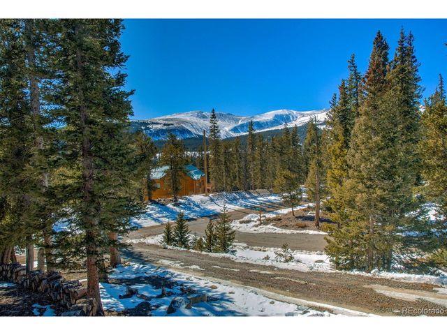 394 CO RD 14A, Fairplay, CO 80440