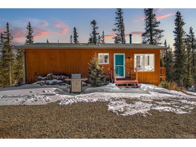 394 CO RD 14A, Fairplay, CO 80440