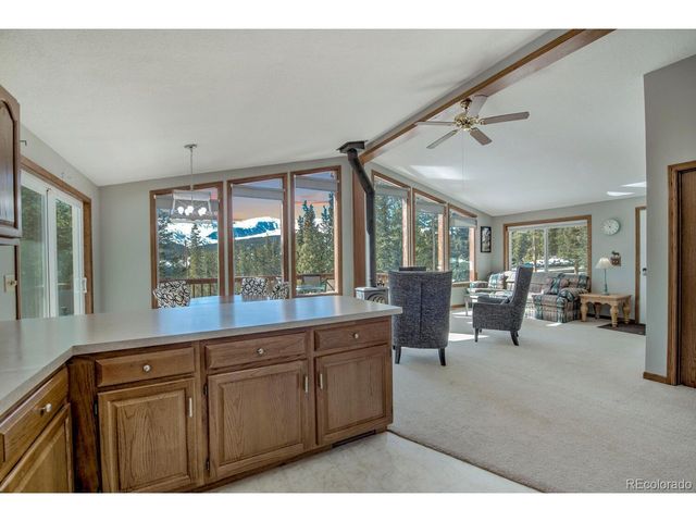 394 CO RD 14A, Fairplay, CO 80440