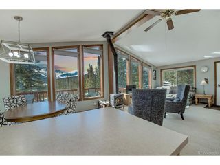 394 CO RD 14A, Fairplay, CO 80440