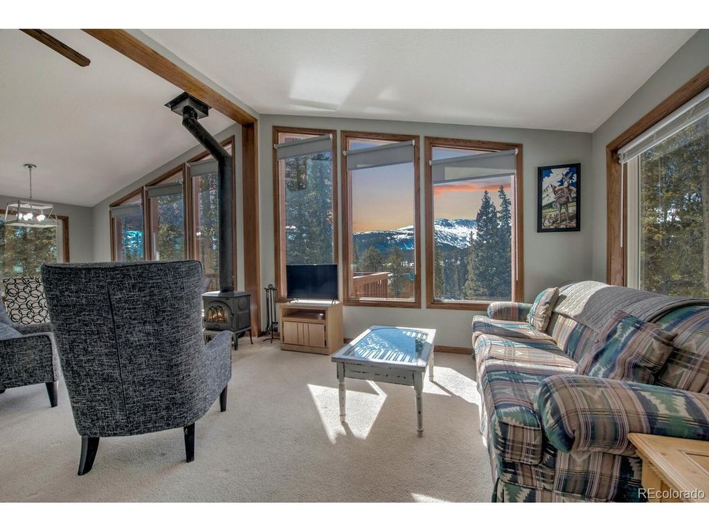 394 CO RD 14A, Fairplay, CO 80440