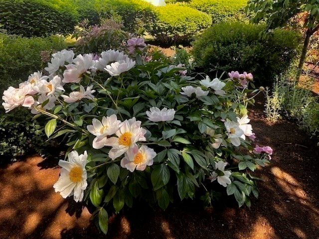 15 Cass Street 3, Boston, MA 02132