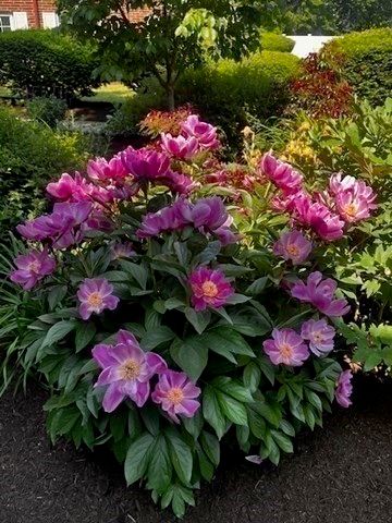 15 Cass Street 3, Boston, MA 02132