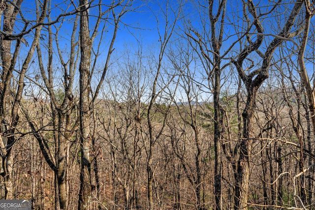 1447 Blue Ridge Drive, Sautee Nacoochee, GA 30571