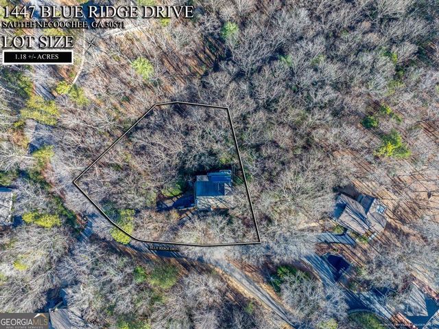1447 Blue Ridge Drive, Sautee Nacoochee, GA 30571