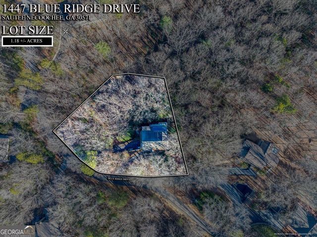 1447 Blue Ridge Drive, Sautee Nacoochee, GA 30571
