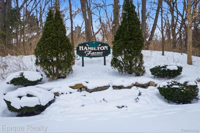 521 Carberry Hill, Brighton, MI 48116