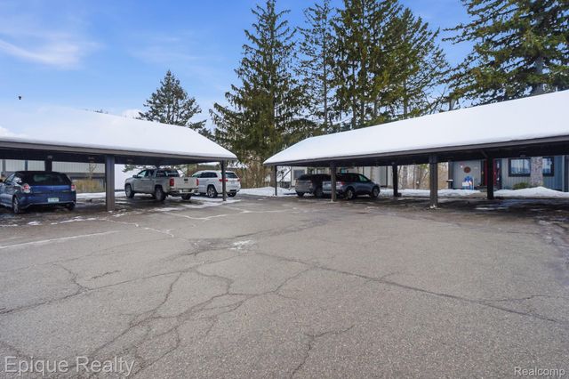 521 Carberry Hill, Brighton, MI 48116