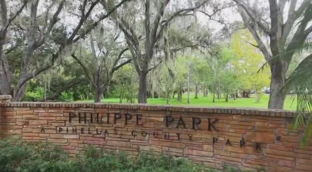 2941C SHORE DRIVE, Safety Harbor, FL 34695