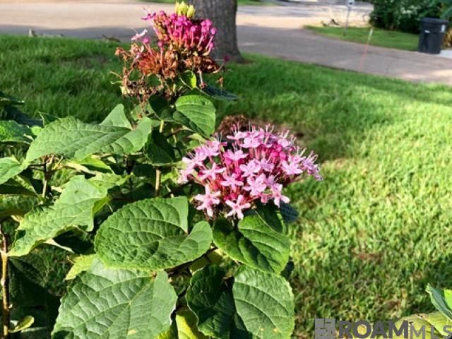 4813 Capital Heights Ave, Baton Rouge, LA 70806