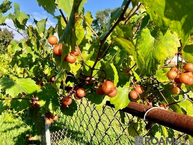 4813 Capital Heights Ave, Baton Rouge, LA 70806