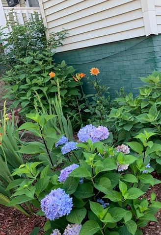 27 Pinckney St 1, Somerville, MA 02145