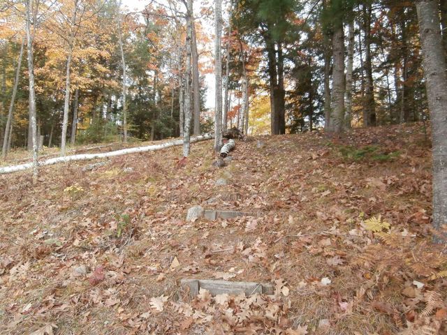 W16125 S LOOP DRIVE, Fence, WI 54120