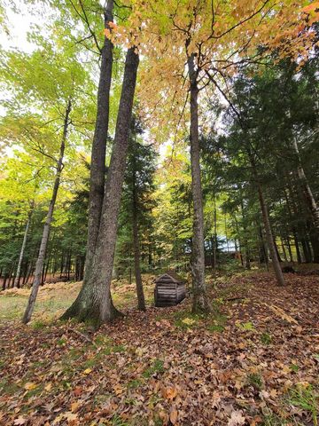 W16125 S LOOP DRIVE, Fence, WI 54120