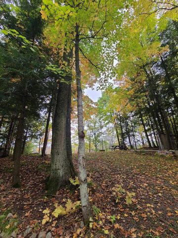 W16125 S LOOP DRIVE, Fence, WI 54120