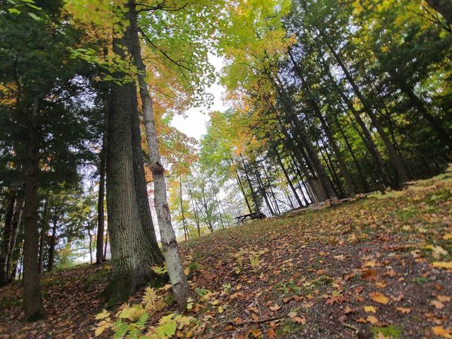 W16125 S LOOP DRIVE, Fence, WI 54120