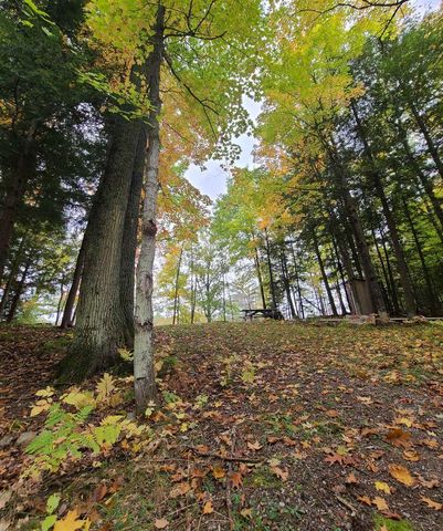 W16125 S LOOP DRIVE, Fence, WI 54120