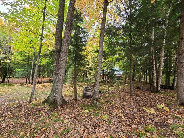 W16125 S LOOP DRIVE, Fence, WI 54120