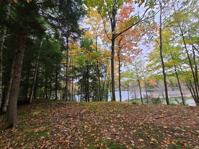 W16125 S LOOP DRIVE, Fence, WI 54120