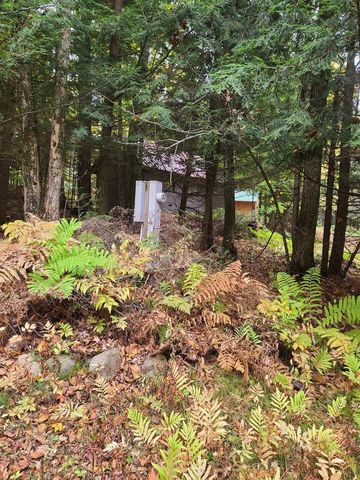 W16125 S LOOP DRIVE, Fence, WI 54120