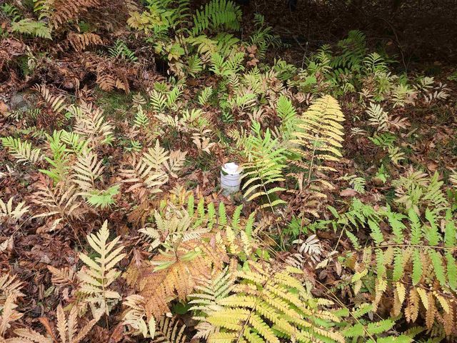 W16125 S LOOP DRIVE, Fence, WI 54120