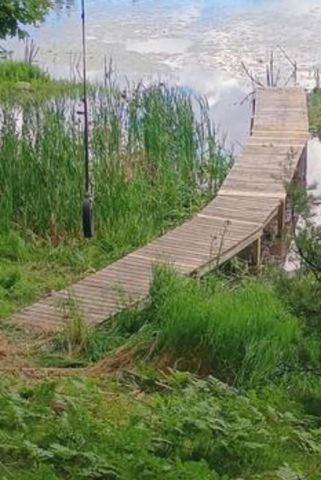 W16125 S LOOP DRIVE, Fence, WI 54120