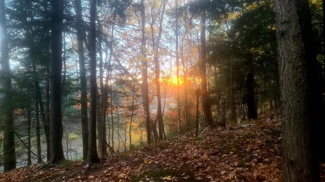 W16125 S LOOP DRIVE, Fence, WI 54120