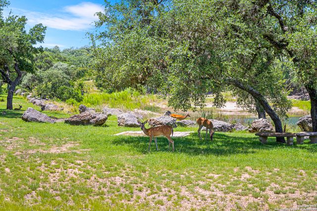 690 Kings Point, Canyon Lake, TX 78133