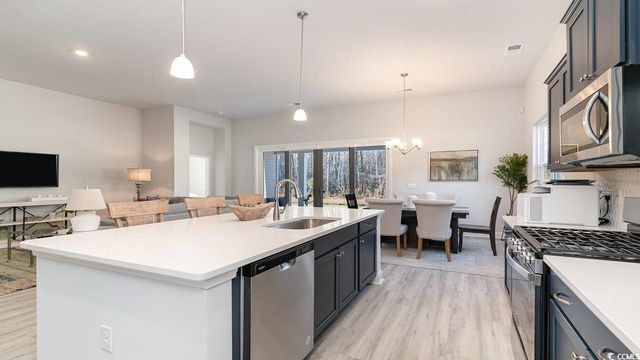 251 Hadley Springs Ave, Longs, SC 29568