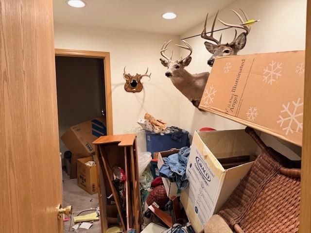 1107 S 13TH AVENUE, Wausau, WI 54401