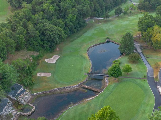 173 Fox Hollow Road, Branson West, MO 65737